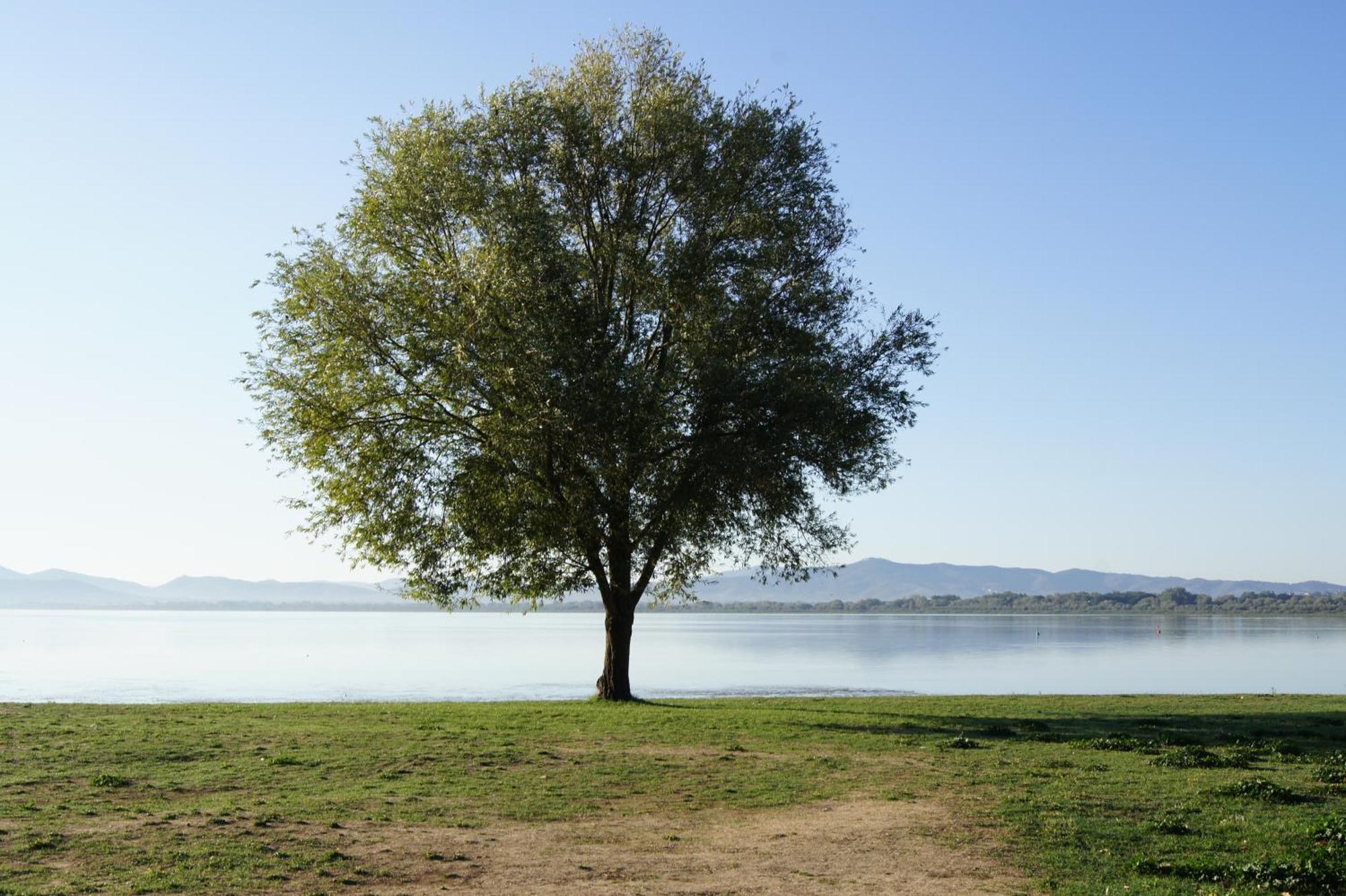 Residence Al Lago Castiglione del Lago Eksteriør bilde